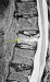 Abb. 2: TH