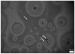 Aktuelles Bild - Abb. 8: LPL