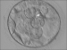 Abb. 3: Blastocyst