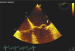 Abb. 4: Transsophageales Echo