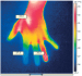 Abb. 4: Thermographische Aufnahme