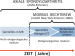 Aktuelles Bild - Abb. 2: Stadieneinteilung Spondyloarthritis