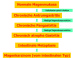 Abb. 1: Pathogenese Magenkarzinom