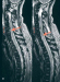 Fig. 2: MRI