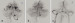 Abb. 2a-c: Arteria vertebralis
