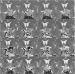 Abb. 2: Teilresektion