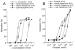 Fig. 2a-b: Koronararterien - KATP-Kanalffner-Hemmung