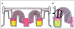 Aktuelles Bild - Abb. 3: Zech-Selector(R)