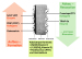 Abb. 1: Knochenbiomarker