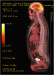Abb. 2: Tumor