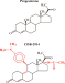 Aktuelles Bild - Abb. 1: Ulipristalacetat 