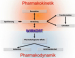 Abb. 2: Pharmakokinetik - Pharmakodynamik  