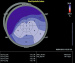 Aktuelles Bild - Abb. 14: Bull's Eye
