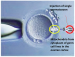Abb. 5: Injection of autologous purified mitochondria
