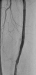 Abb. 5: Ergebnis