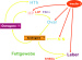 Abb. 1: PCOS