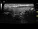 Abb. 10: Video 2 - Rechter Lappen
