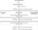 Abb. 2: Osteoporotische Frakturen