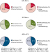 Abb. 2: CED-Therapie
