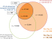 Abb. 1: Patientenpopulation