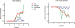 Abb. 4: Lupus erythematosus