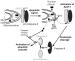 Fig. 2: Mitochondrien - Apoptose