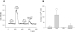 Abb. 1: Intracellular Calcium