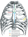 Aktuelles Bild - Abb. 1: Aortenklappenchirurgie - OP-Techniken