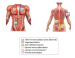 Abb. 3: Stimulations-Devices
