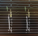 Abb. 4: Elektrogramm