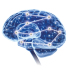 Abb. 1: Brain. Novartis Pharma GmbH