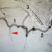 Abb. 2: Truncus coeliacus