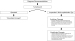 Abb. 1: Therapiepfad