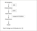 Abb. 4: Metabolismus
