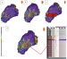 Aktuelles Bild - Abb. 7: Mapping-Katheter