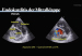 Abb. 1a: POCUS - TEE