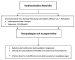 Abb. 1: IPE-Therapie