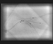 Abb. 6: DCB-Delivery Ballons