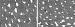 Fig. 2: Nephrektomie - Kapillaren