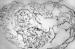 This Image - Fig. 2: Thrombus - Aspirin