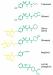 Abb. 3: Sulfonylharnstoffderivate