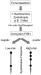 Abb. 3: UroVysion-Test