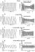 Fig. 4A-D: Doxorubicin - Angiotensin-II-Modulation