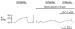 This Image - Fig. 9: K-Efflux in Koronararterien
