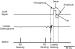 Abb. 2: Kardiale Kontraktilittsmodulation