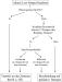 Abb. 1: Patiententransfer