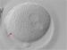 Abb. 2: Zygote - Vorkernmuster