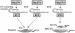 Abb. 2: Endothelin - Pathophysiologie