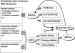 Abb. 1: Screening-Strategie