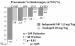 Abb. 3: LIVE-Studie - Linksherzhypertrophie